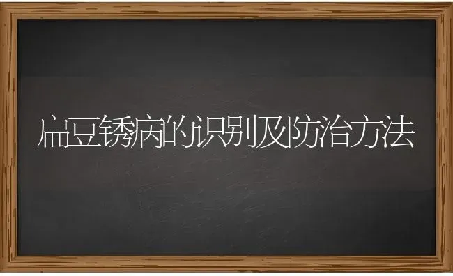 扁豆锈病的识别及防治方法 | 养殖技术大全