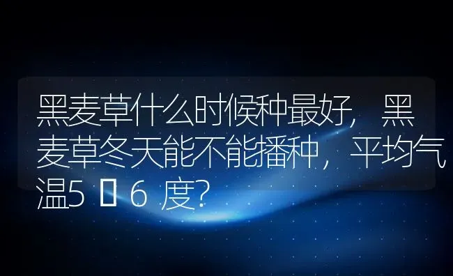 黑麦草什么时候种最好,黑麦草冬天能不能播种，平均气温5〜6度？ | 养殖科普