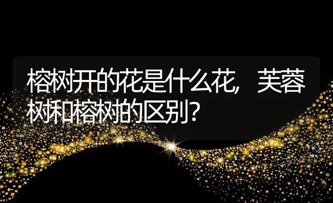 榕树开的花是什么花,芙蓉树和榕树的区别？ | 养殖科普