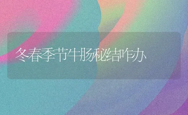 冬春季节牛肠秘结咋办 | 养殖知识