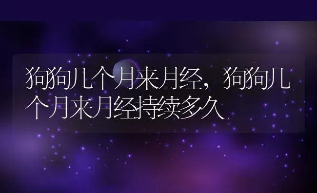 狗狗几个月来月经,狗狗几个月来月经持续多久 | 养殖科普