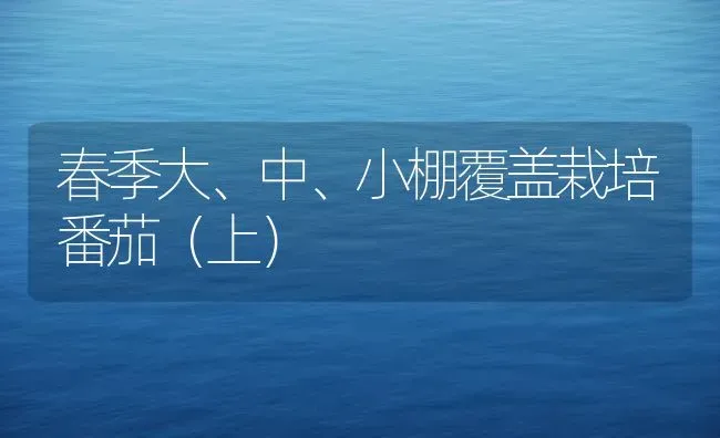 春季大、中、小棚覆盖栽培番茄(上) | 养殖技术大全