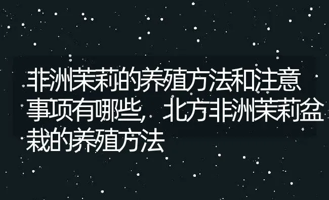 非洲茉莉的养殖方法和注意事项有哪些,北方非洲茉莉盆栽的养殖方法 | 养殖学堂