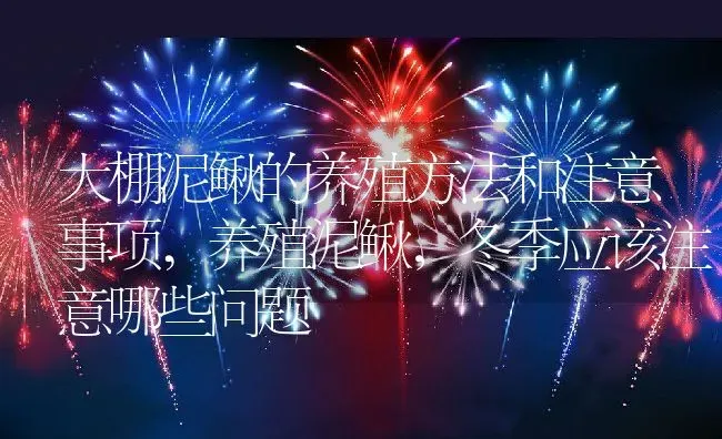 大棚泥鳅的养殖方法和注意事项,养殖泥鳅，冬季应该注意哪些问题 | 养殖学堂