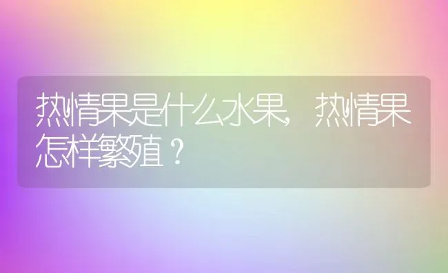 热情果是什么水果,热情果怎样繁殖？ | 养殖科普