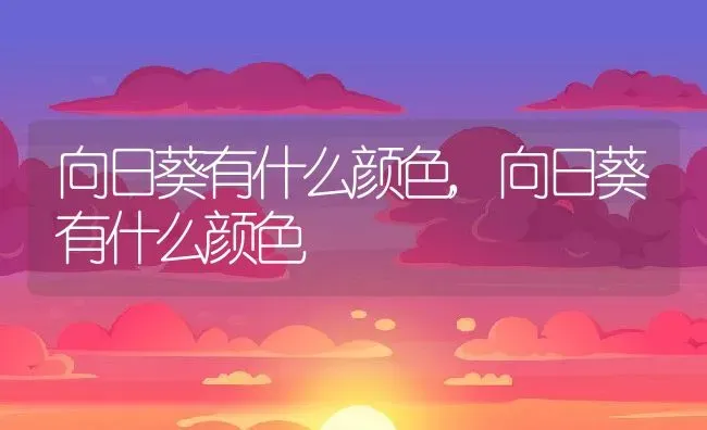 向日葵有什么颜色,向日葵有什么颜色 | 养殖科普