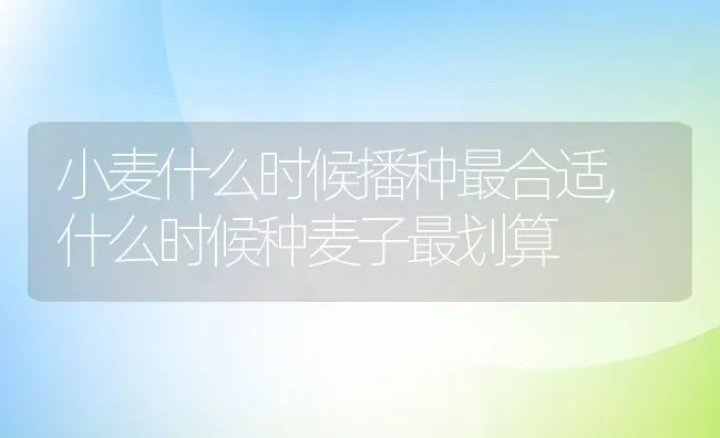 小麦什么时候播种最合适,什么时候种麦子最划算 | 养殖学堂