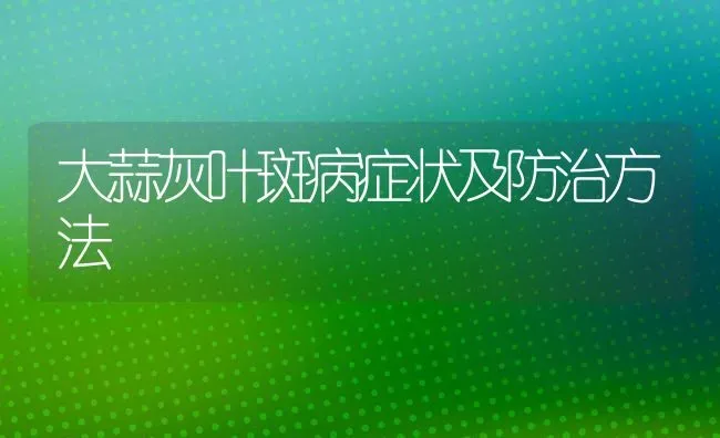 大蒜灰叶斑病症状及防治方法 | 养殖技术大全