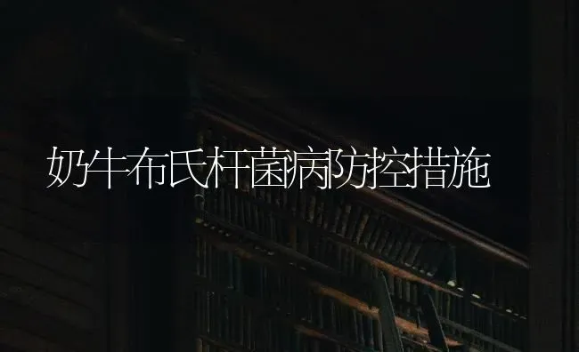 奶牛布氏杆菌病防控措施 | 养殖技术大全