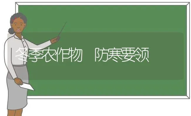 冬季农作物 防寒要领 | 养殖技术大全
