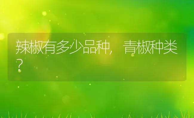 狗为什么要断尾,狗为什么要断尾巴 | 养殖科普