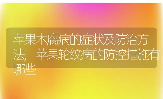 苹果木腐病的症状及防治方法,苹果轮纹病的防控措施有哪些 | 养殖学堂