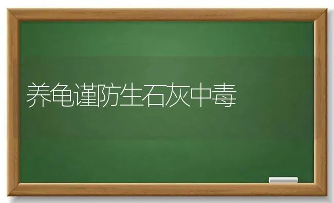 养龟谨防生石灰中毒 | 养殖知识