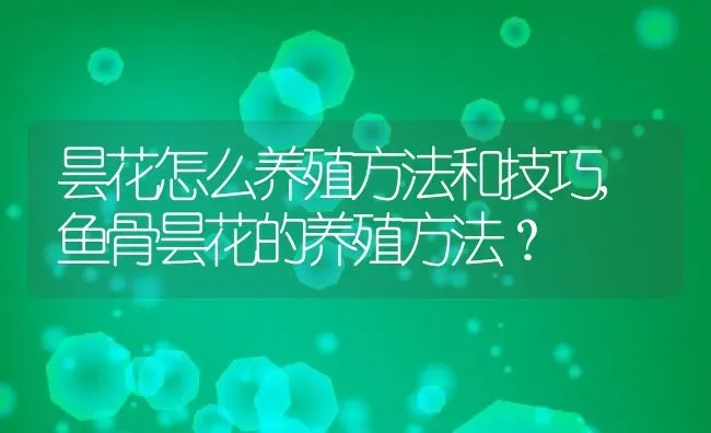 昙花怎么养殖方法和技巧,鱼骨昙花的养殖方法？ | 养殖科普