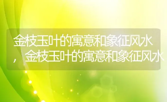 金枝玉叶的寓意和象征风水,金枝玉叶的寓意和象征风水 | 养殖科普