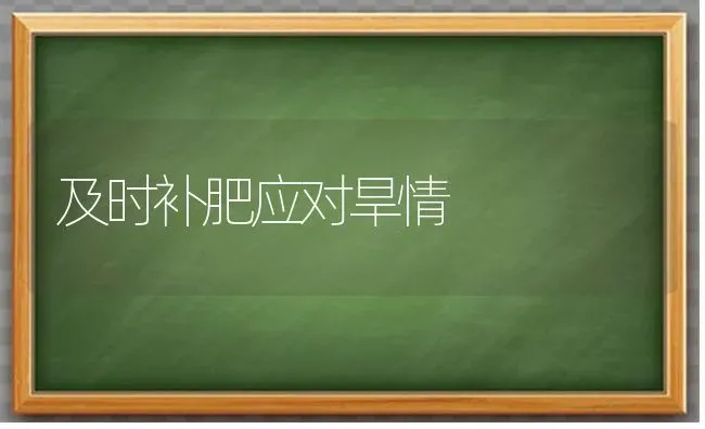 及时补肥应对旱情 | 养殖知识