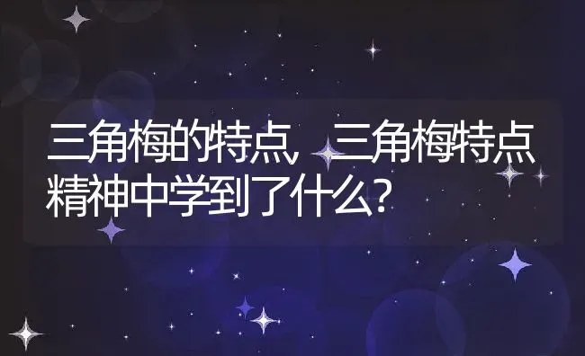 三角梅的特点,三角梅特点精神中学到了什么？ | 养殖科普