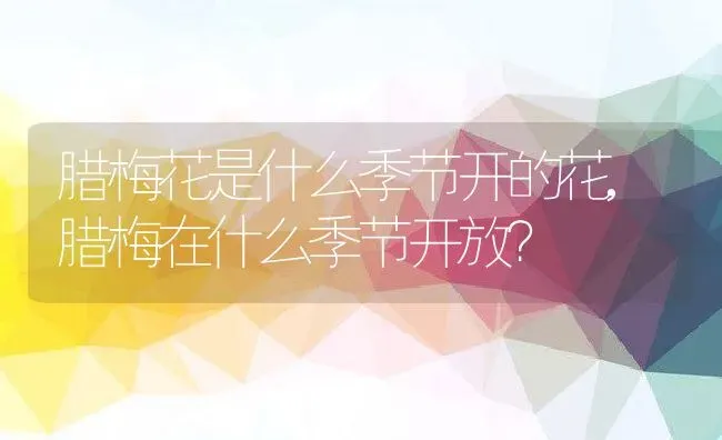 腊梅花是什么季节开的花,腊梅在什么季节开放？ | 养殖科普