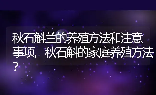 秋石斛兰的养殖方法和注意事项,秋石斛的家庭养殖方法？ | 养殖科普