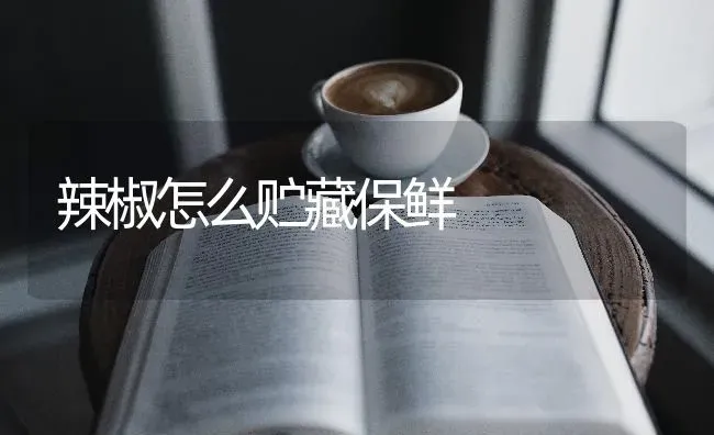 辣椒怎么贮藏保鲜 | 养殖知识