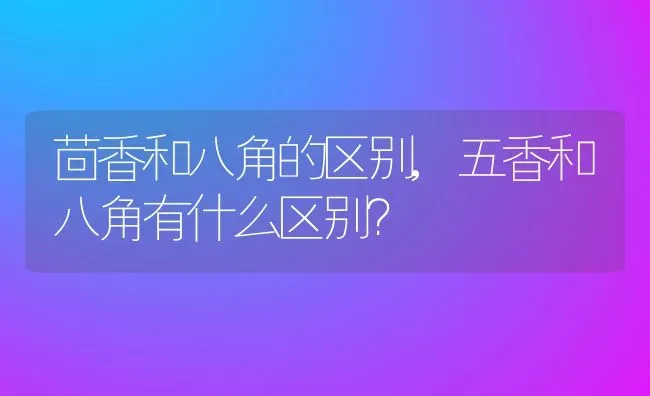 茴香和八角的区别,五香和八角有什么区别？ | 养殖科普