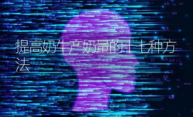 提高奶牛产奶量的十七种方法 | 养殖技术大全