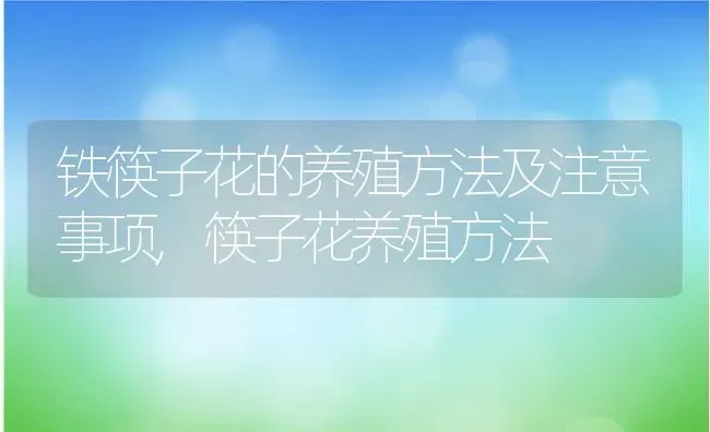 铁筷子花的养殖方法及注意事项,筷子花养殖方法 | 养殖学堂