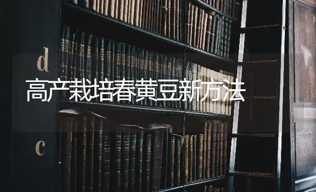 高产栽培春黄豆新方法 | 养殖知识