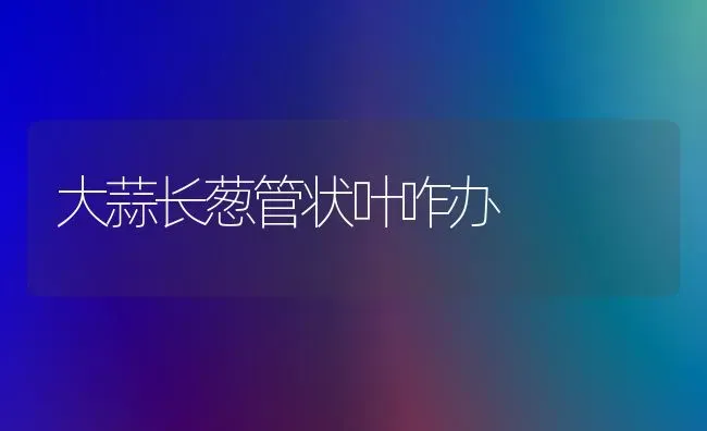 大蒜长葱管状叶咋办 | 养殖技术大全
