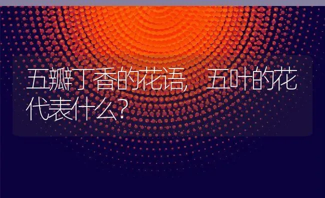 五瓣丁香的花语,五叶的花代表什么？ | 养殖科普