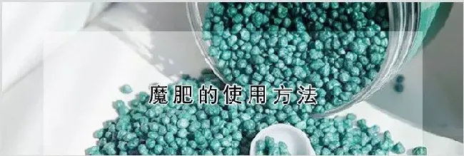 魔肥的使用方法 | 实用知识