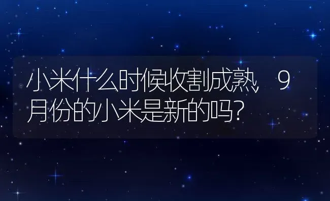 小米什么时候收割成熟,9月份的小米是新的吗？ | 养殖科普