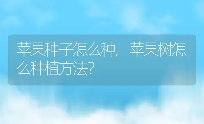 苹果种子怎么种,苹果树怎么种植方法？ | 养殖科普