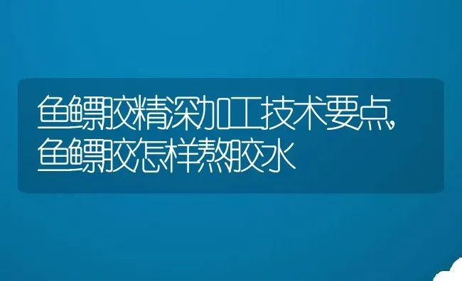 鱼鳔胶精深加工技术要点,鱼鳔胶怎样熬胶水 | 养殖学堂