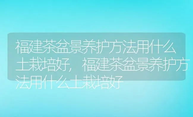 福建茶盆景养护方法用什么土栽培好,福建茶盆景养护方法用什么土栽培好 | 养殖科普