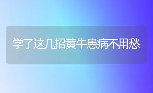 学了这几招黄牛患病不用愁 | 养殖技术大全