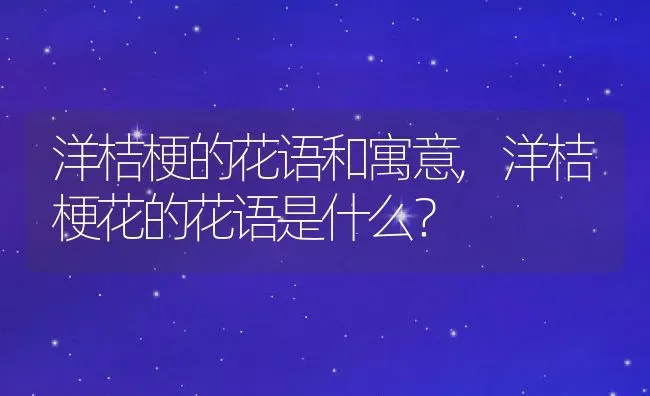 洋桔梗的花语和寓意,洋桔梗花的花语是什么？ | 养殖科普