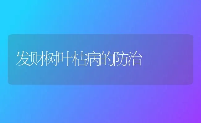 发财树叶枯病的防治 | 养殖知识