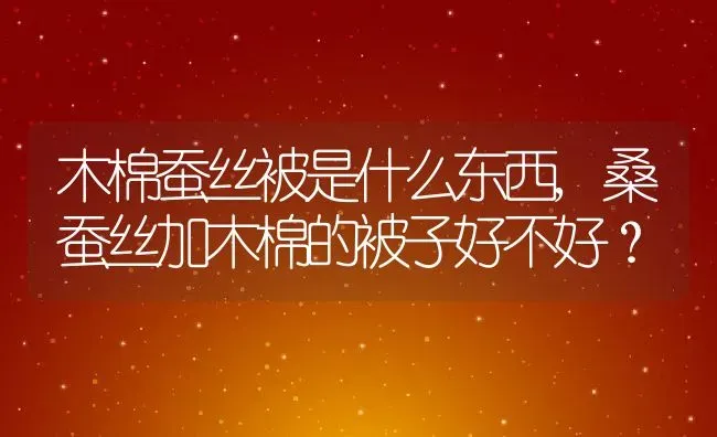 木棉蚕丝被是什么东西,桑蚕丝加木棉的被子好不好？ | 养殖学堂