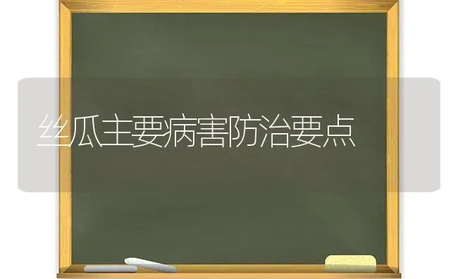 丝瓜主要病害防治要点 | 养殖技术大全