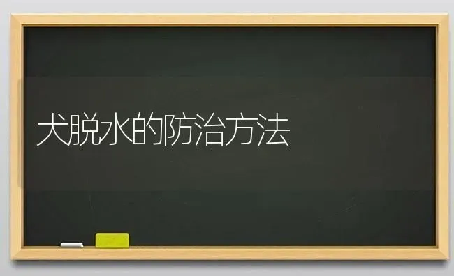 犬脱水的防治方法 | 养殖技术大全