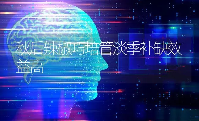 秋后辣椒巧培管淡季补缺效益高 | 养殖技术大全