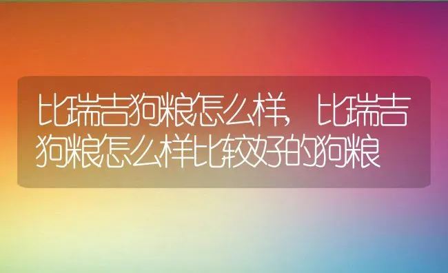 比瑞吉狗粮怎么样,比瑞吉狗粮怎么样比较好的狗粮 | 养殖资料