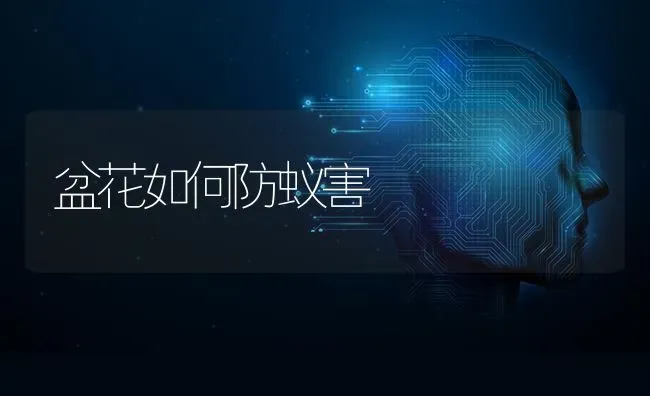 盆花如何防蚁害 | 养殖知识