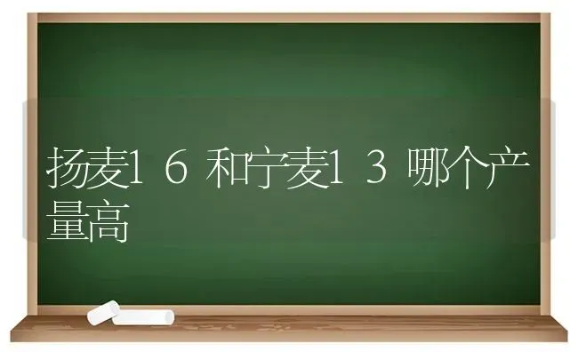 扬麦16和宁麦13哪个产量高 | 养殖知识