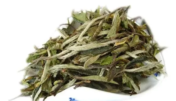 白茶白牡丹茶适合长期存放吗,福建大白茶适合保存多久？