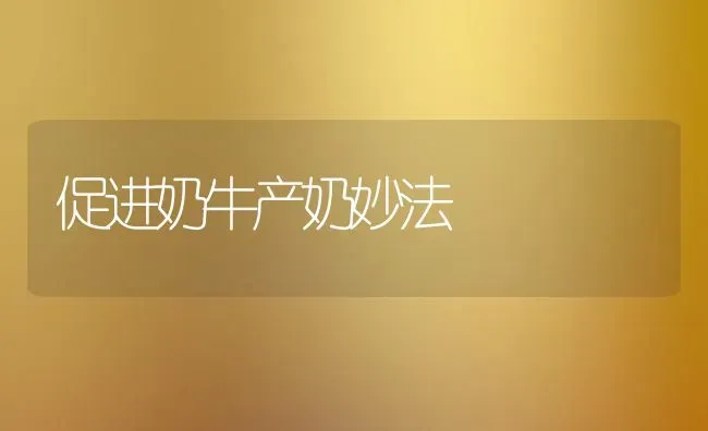 促进奶牛产奶妙法 | 养殖知识