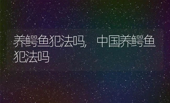 养鳄鱼犯法吗,中国养鳄鱼犯法吗 | 养殖资料