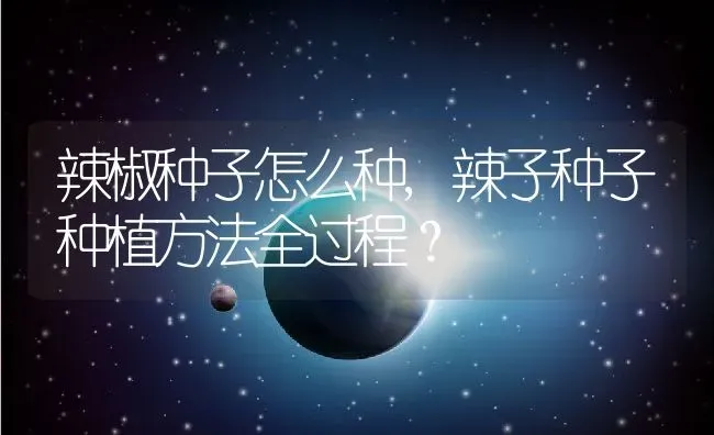 辣椒种子怎么种,辣子种子种植方法全过程？ | 养殖科普