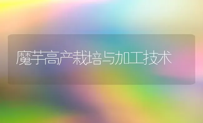 魔芋高产栽培与加工技术 | 养殖技术大全